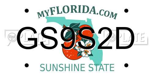 GS9S2D Florida License Plate