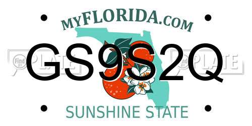 GS9S2Q Florida License Plate