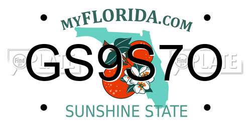 GS9S7O Florida License Plate
