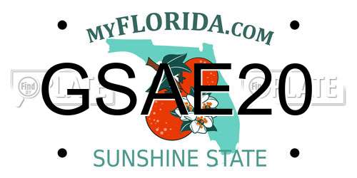 GSAE20 Florida License Plate