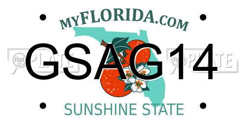 GSAG14 Florida License Plate