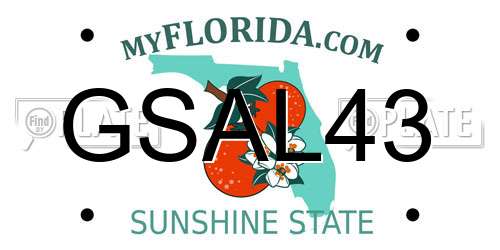 GSAL43 Florida License Plate