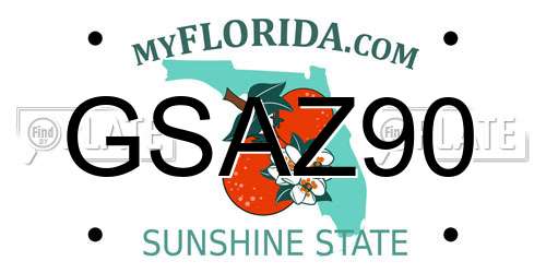 GSAZ90 Florida License Plate