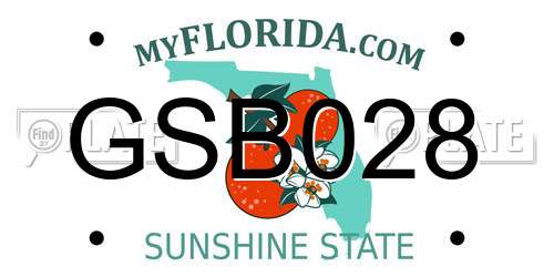 GSB028 Florida License Plate