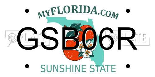 GSB06R Florida License Plate