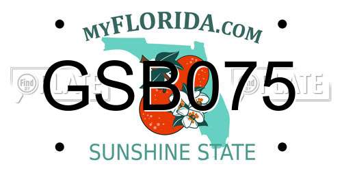 GSB075 Florida License Plate