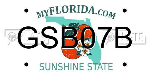 GSB07B Florida License Plate