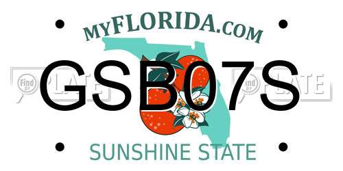 GSB07S Florida License Plate