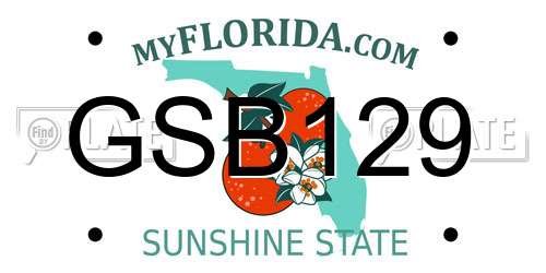 GSB129 Florida License Plate