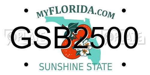 GSB2500 Florida License Plate