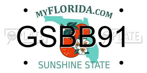 GSBB91 Florida License Plate