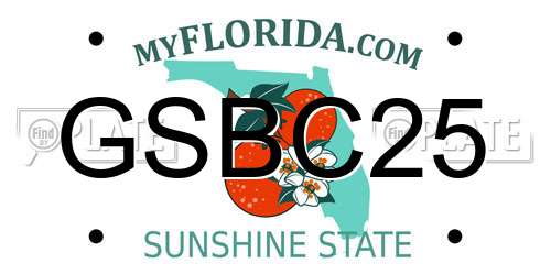 GSBC25 Florida License Plate