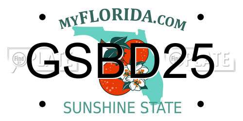 GSBD25 Florida License Plate