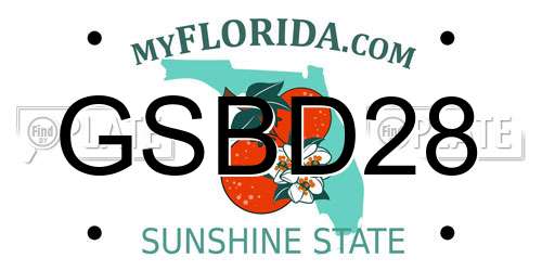 GSBD28 Florida License Plate