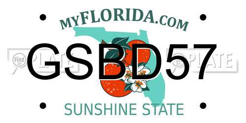 GSBD57 Florida License Plate