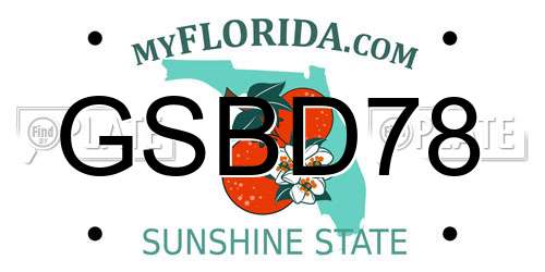 GSBD78 Florida License Plate