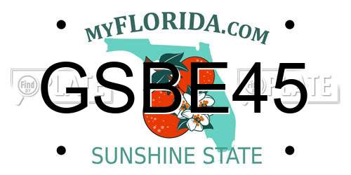 GSBE45 Florida License Plate