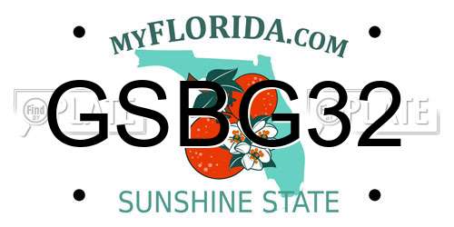 GSBG32 Florida License Plate