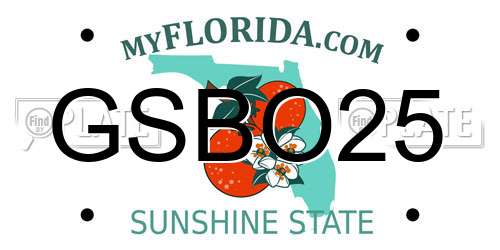 GSBO25 Florida License Plate