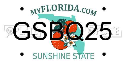 GSBQ25 Florida License Plate
