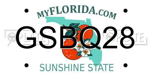 GSBQ28 Florida License Plate