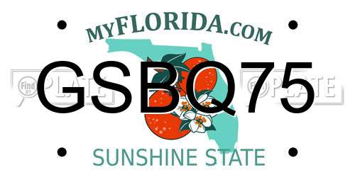 GSBQ75 Florida License Plate