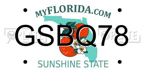 GSBQ78 Florida License Plate