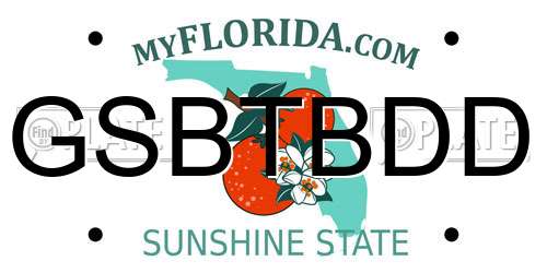 GSBTBDD Florida License Plate