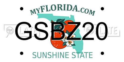 GSBZ20 Florida License Plate