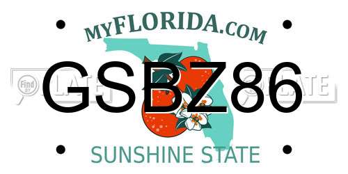 GSBZ86 Florida License Plate