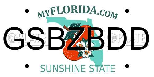 GSBZBDD Florida License Plate