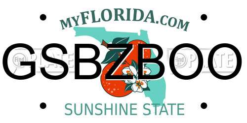 GSBZBOO Florida License Plate