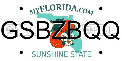 GSBZBQQ Florida License Plate