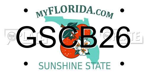 GSCB26 Florida License Plate