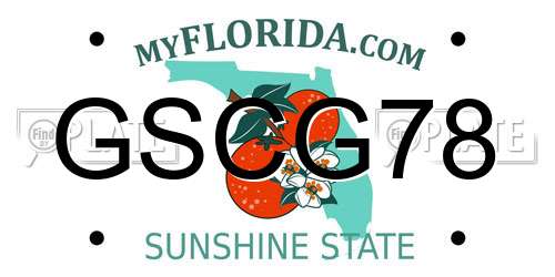 GSCG78 Florida License Plate