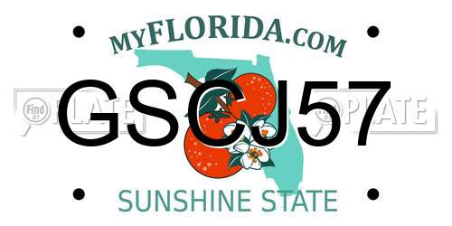 GSCJ57 Florida License Plate