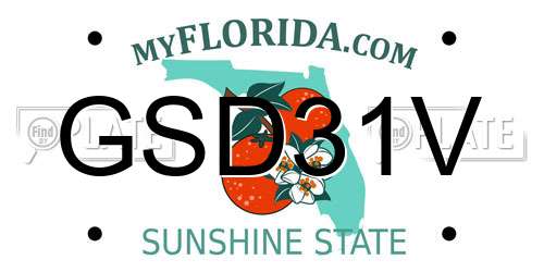 GSD31V Florida License Plate