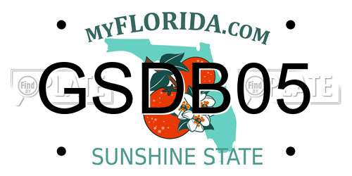 GSDB05 Florida License Plate