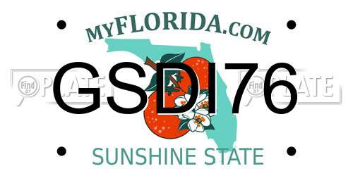 GSDI76 Florida License Plate