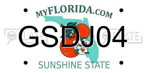 GSDJ04 Florida License Plate