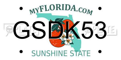 GSDK53 Florida License Plate
