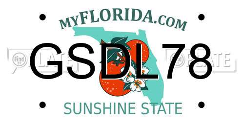 GSDL78 Florida License Plate
