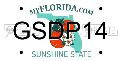 GSDP14 Florida License Plate