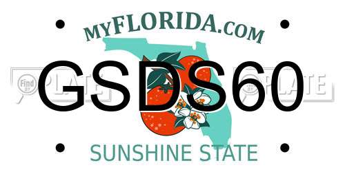 GSDS60 Florida License Plate