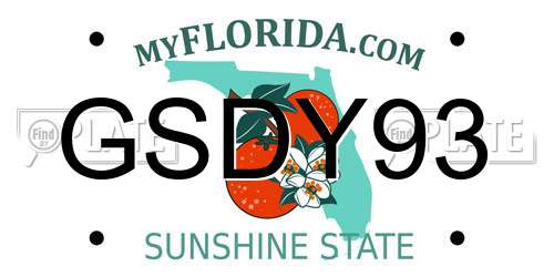 GSDY93 Florida License Plate