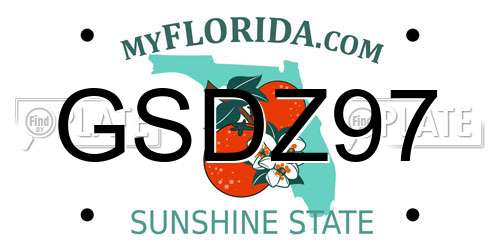GSDZ97 Florida License Plate