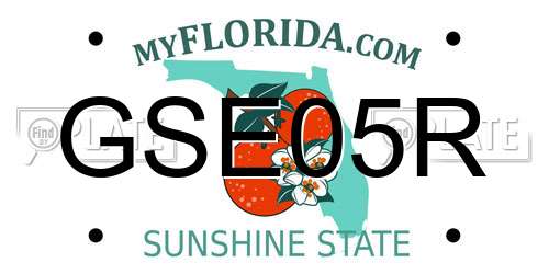 GSE05R Florida License Plate
