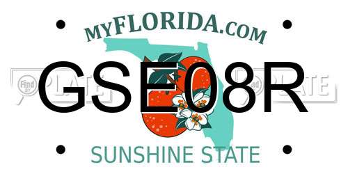 GSE08R Florida License Plate