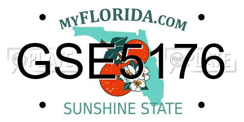 GSE5176 Florida License Plate