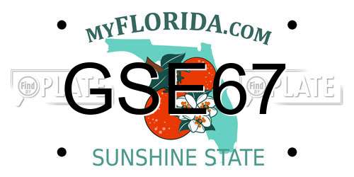 GSE67 Florida License Plate